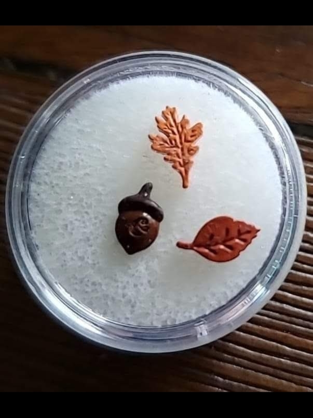 Origami Owl Autumn Leaf & Acorn Charms - Copper Tones